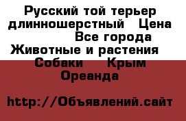 Русский той-терьер длинношерстный › Цена ­ 7 000 - Все города Животные и растения » Собаки   . Крым,Ореанда